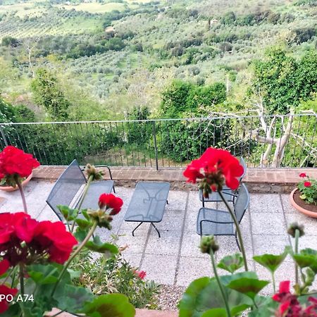 Tenuta Di Montemassi Fattoria Bagian luar foto